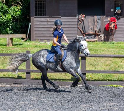 Girl riding horse in Sidcot School arena