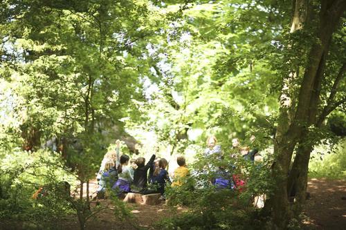 Children learning at Sidcot's Forest School