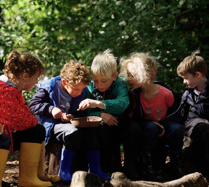 children learning at forest school