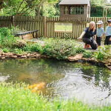 Sidcot Early Years students watching fish in the school pond