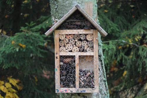 bug hotel which is one of the forest school activities