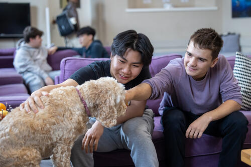 students studying overseas